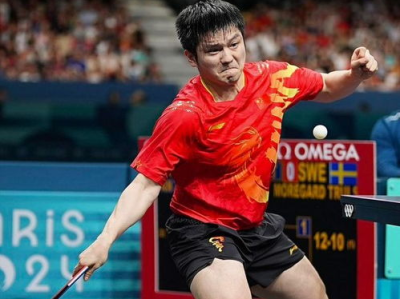 “樊振东德甲之旅：乒乓球名将的欧洲竞技之旅”